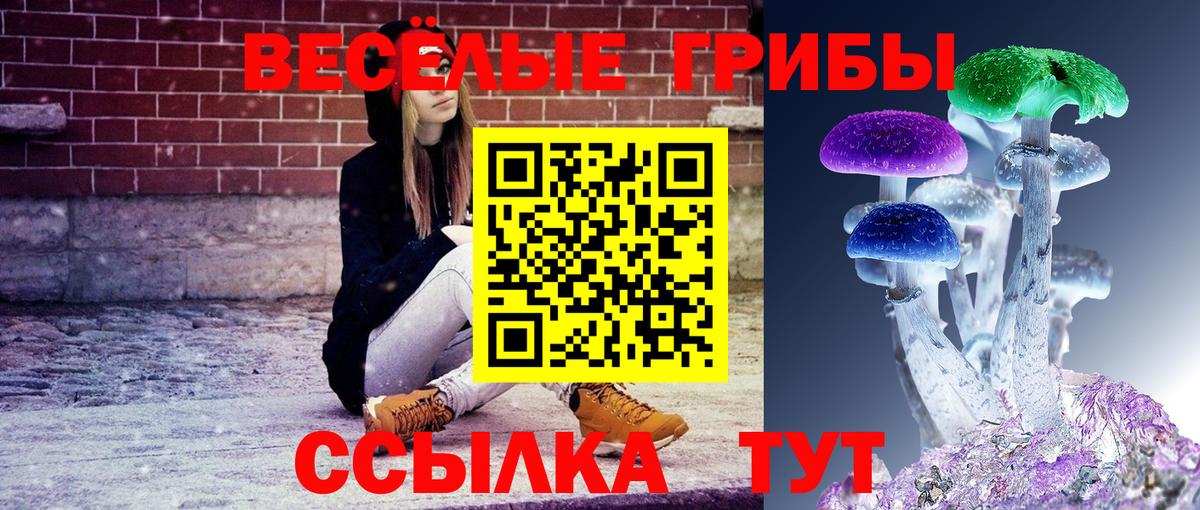 Галлюциногенные грибы мицелий  наркота  Полысаево  Вход с VPN 
