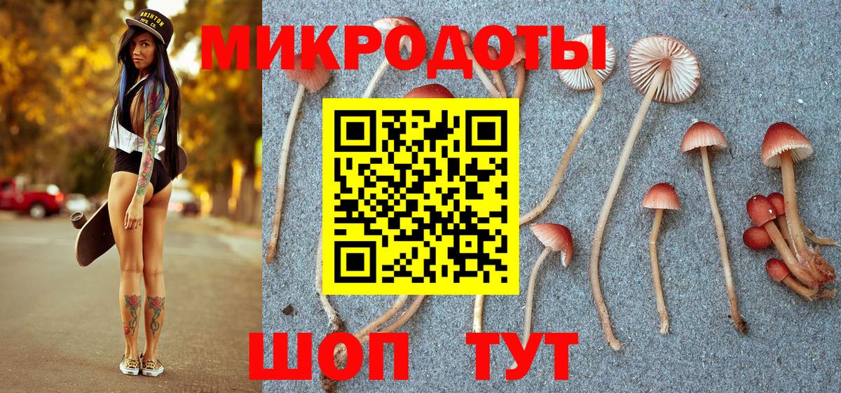 Галлюциногенные грибы MAGIC MUSHROOMS Полысаево